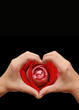 lover's heart