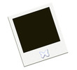 Poloroid image with butterfly great retro look Poloroid image with butterfly great retro look