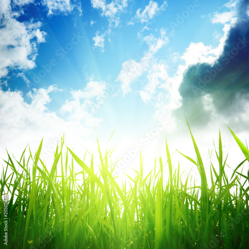 Photo: grass and cloudy sky grass and cloudy sky