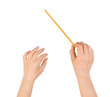 Music conductor hands Music conductor hands
