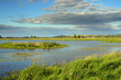 summer lake landscape summer lake landscape
