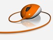 souris
