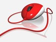 souris