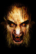 Illustration: Loup-Garou Loup-Garou