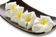spa flower in a bowl