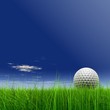 High resolution 3d white golf ball in green grass background High resolution 3d white golf ball in green grass background