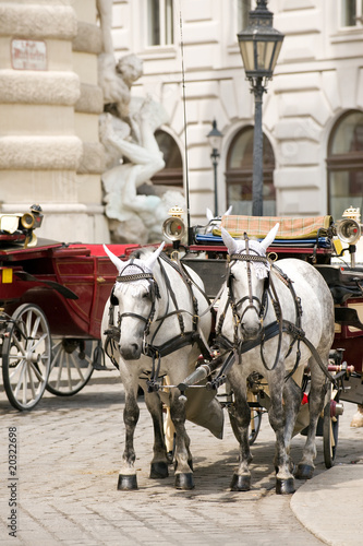 Photo: Horsedrawn carriage on the platz by the Hofburg Palace, Vienna Horsedrawn carriage on the platz by the Hofburg Palace, Vienna
