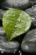 spa stones with leaf