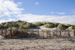 Sanddünen in Holland