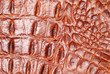 Imitation crocodile leather texture