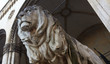lions at Feldherrnhalle