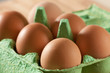 Eggs 03