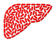 Liver