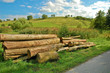 Baumstämme, Holzwirtschaft, Natur