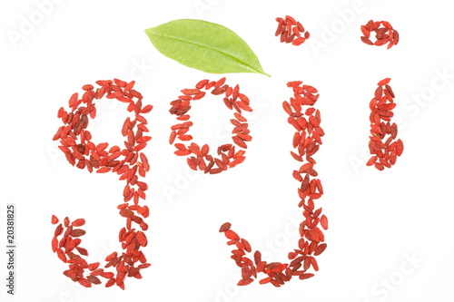 Photo: Goji, en toutes lettres Goji, en toutes lettres