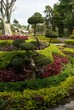 Beautiful natural tropical garden