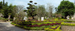Beautiful natural tropical garden with white stones