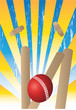 wickets and ball with yellow rays