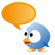 bird