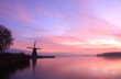 Pink windmill