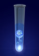 Reagenzglas mit Erde