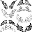Grunge Angel Wings