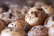 Baked Potatoes