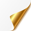 Photos : Curled corner. Easy editable Vector.