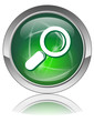 SEARCH Web Button (Research Internet Engine Site Page Go Vector)