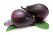 Purple Eggplant