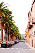 Street with palm trees in bosa, sardegna, vertical