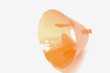 Collerette pour chien