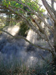 Sunlight through boiling mist of the Geothermal Activity in Kuir