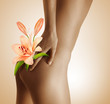 Body et Beaute
