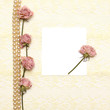 background with cream silky decoration accessories, lace and pea