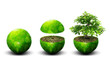 global ecology
