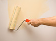 Painting the wall with roller Painting the wall with roller