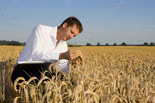 Photo: Businessman in wheat field Businessman in wheat field