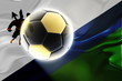 Flag of Lesotho wavy soccer