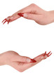 two woman hands
