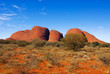 The olgas
