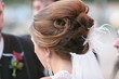 brown up do woman bride, hair brown up do woman bride, hair