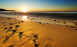 Beach Sunset