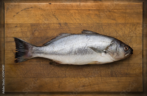 Foto: Corvina Corvina