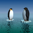 Fun penguins