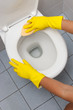 Foto: Clean up your house Clean up your house