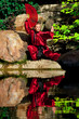 Tai chi girl