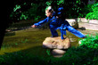 Tai chi girl