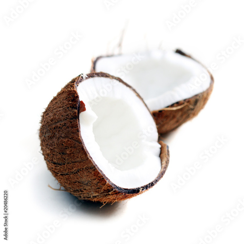 Photo: Coconut isolated on white Coconut isolated on white