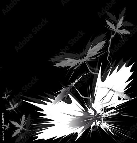 black and grey backgrounds. Sharp lack and grey flowers